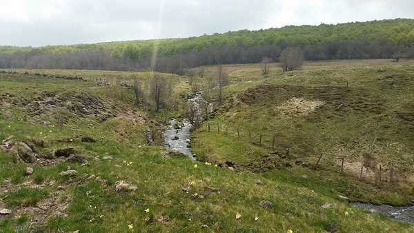 20180505_134415 - aubrac hors sentierb.jpg