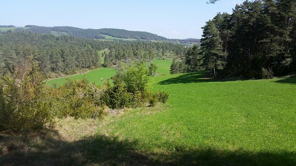 20180506_113043 - causse de sauveterreb.jpg