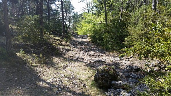 20180506_113407 - causse du sauveterreb.jpg