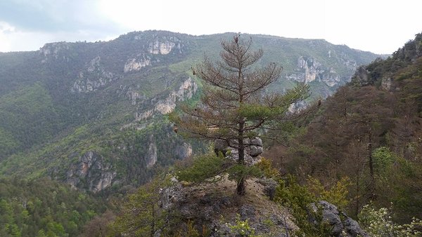 20180506_142420 - montee sur le causse mejeanb.jpg