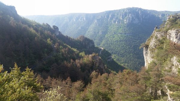 20180507_093305 - gorges de la jonteb.jpg