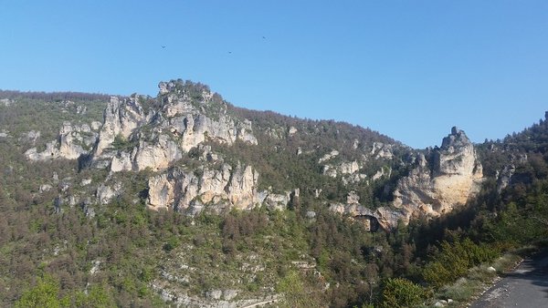 20180507_093614 - gorges de la jonte - vautoursb.jpg