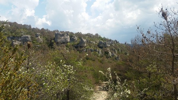 20180507_130641 - causse noir - proche montpellier le vieuxb.jpg