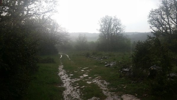 20180507_151558 - causse du larzac - orageb.jpg