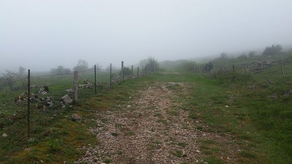 20180509_095514 - plateau du grezacb.jpg