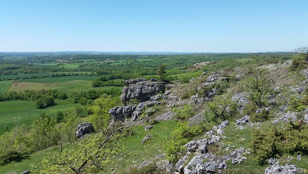 20180511_124259 - puech de gages le basb.jpg